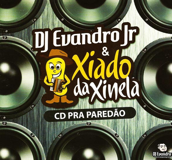 Dj Evandro Jr 